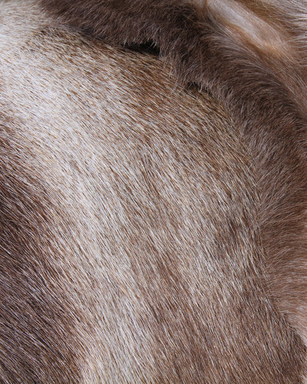 Scandinavian Reindeer Skin, Indoor