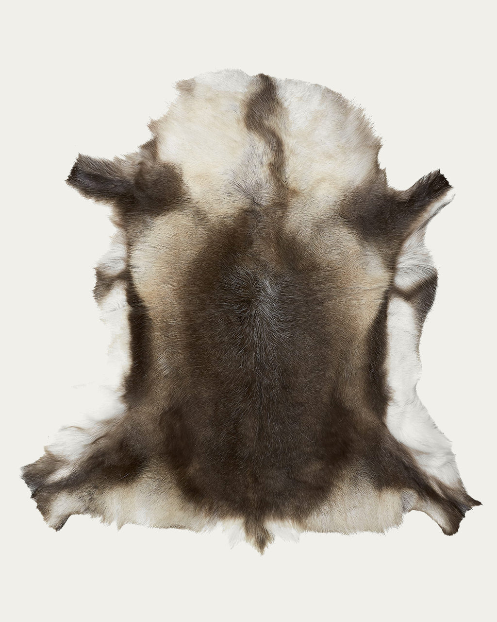 Scandinavian Reindeer Skin, Indoor
