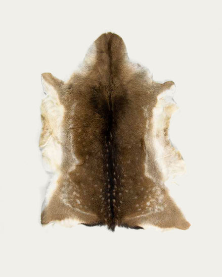 Deer Hide
