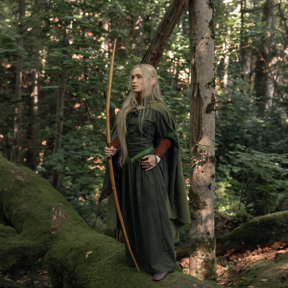 The Elder Woods – Galdir