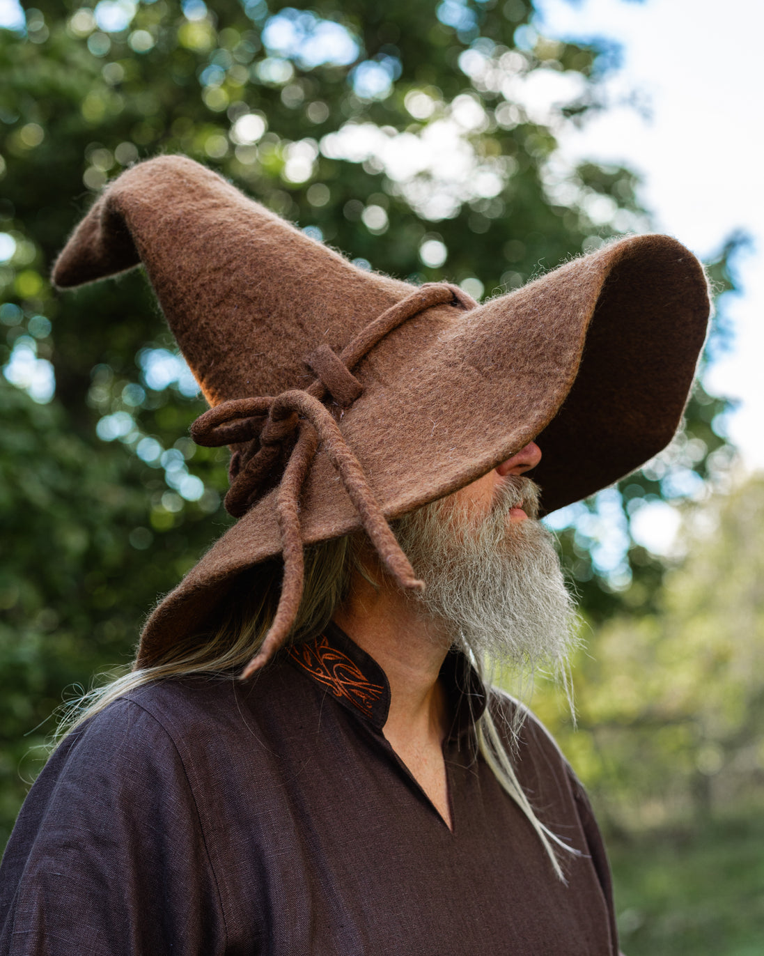 Wizard's Hat, Brown