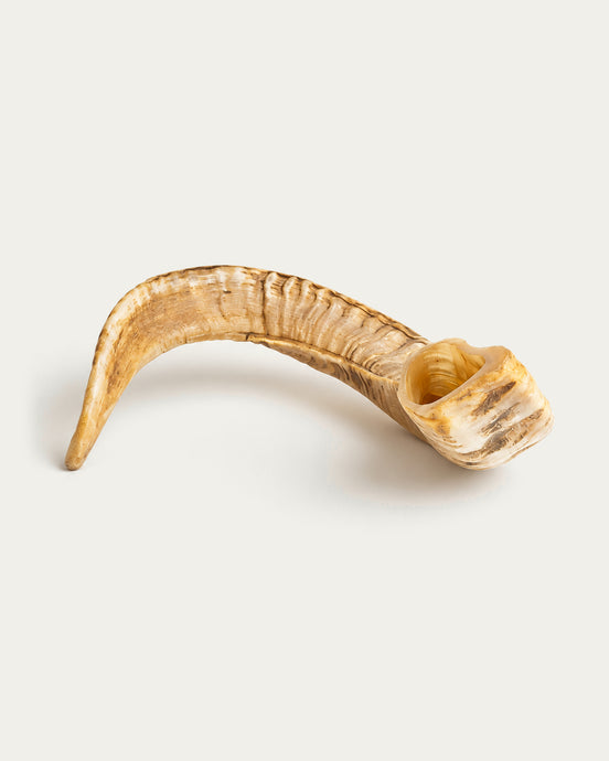 Ram's Horn